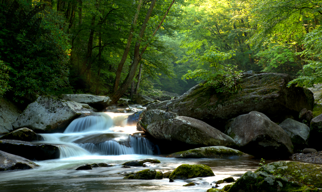 Mountain Stream